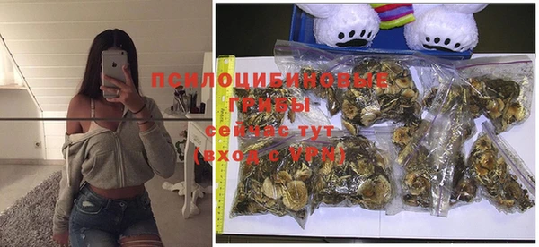 ешки Заводоуковск