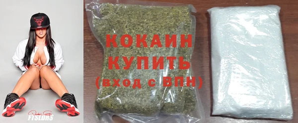 ешки Заводоуковск