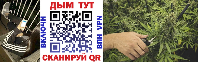 Шишки марихуана гибрид Иннополис
